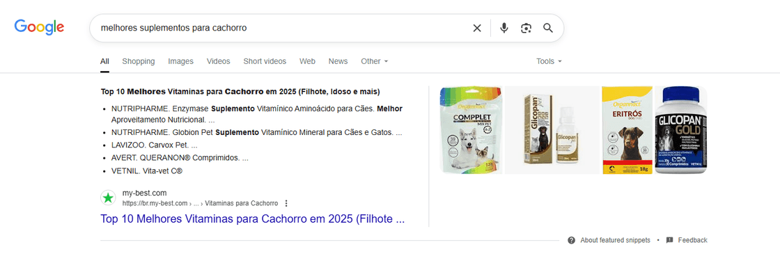 Destaque do Google com os 'Top 10 Melhores Vitaminas para Cachorro em 2025', incluindo suplementos como Enzymase (Nutripharme), Glotion Pet e Vita-vet (Vetnil), com foco em filhotes, idosos e aproveitamento nutricional.