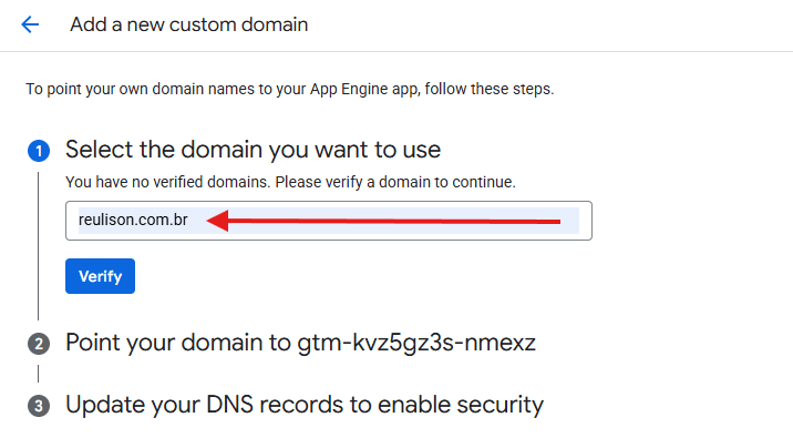Processo de configuração de um domínio personalizado para o tagging server no Google Cloud Platform. O domínio 'reulison.com.br' foi inserido, mas ainda não foi verificado. A etapa de verificação é obrigatória para comprovar a propriedade do domínio antes de prosseguir com o apontamento dos registros DNS e a ativação do certificado SSL.