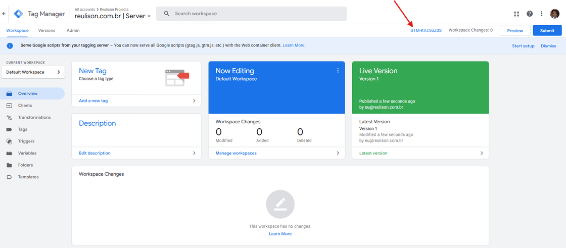Clique no ID da sua conta no Google Tag Manager