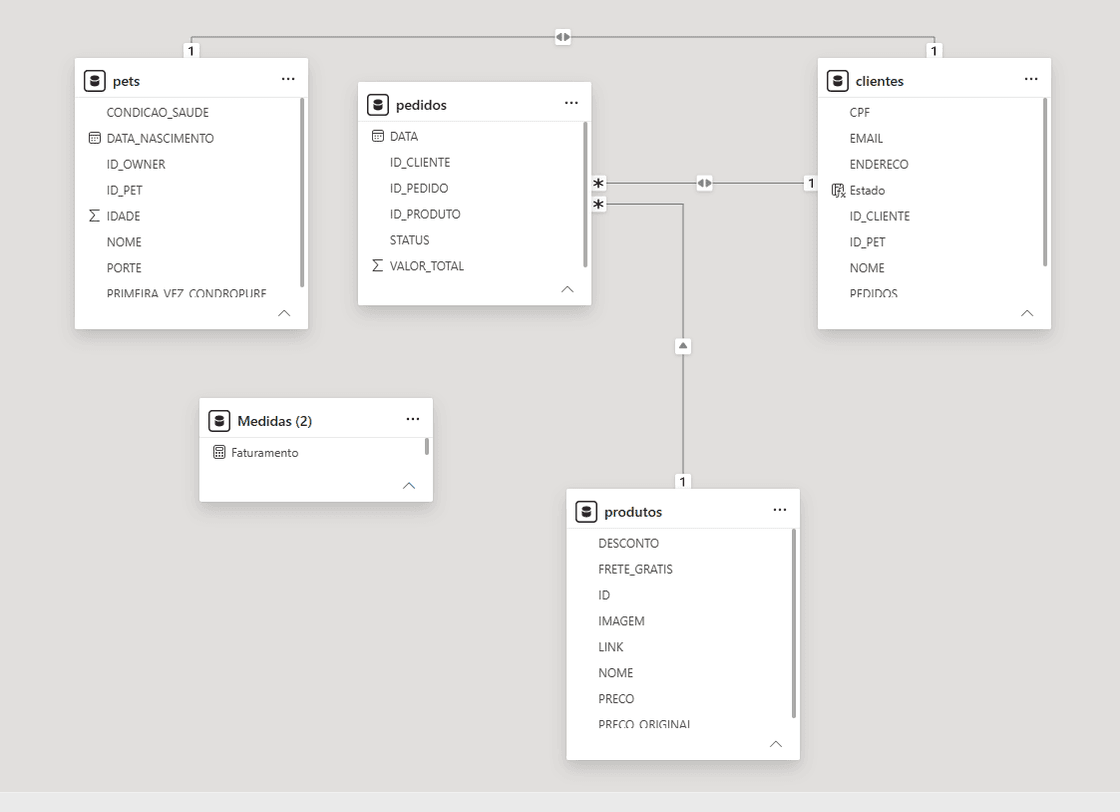 Diagrama de relacionamentos do Power BI mostrando as tabelas clientes, pedidos, produtos, pets e medidas, conectadas por relacionamentos do tipo um-para-muitos para análises de faturamento, pedidos, clientes e produtos.